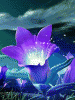 anim240320mobildesign.atw.hu_0239.gif